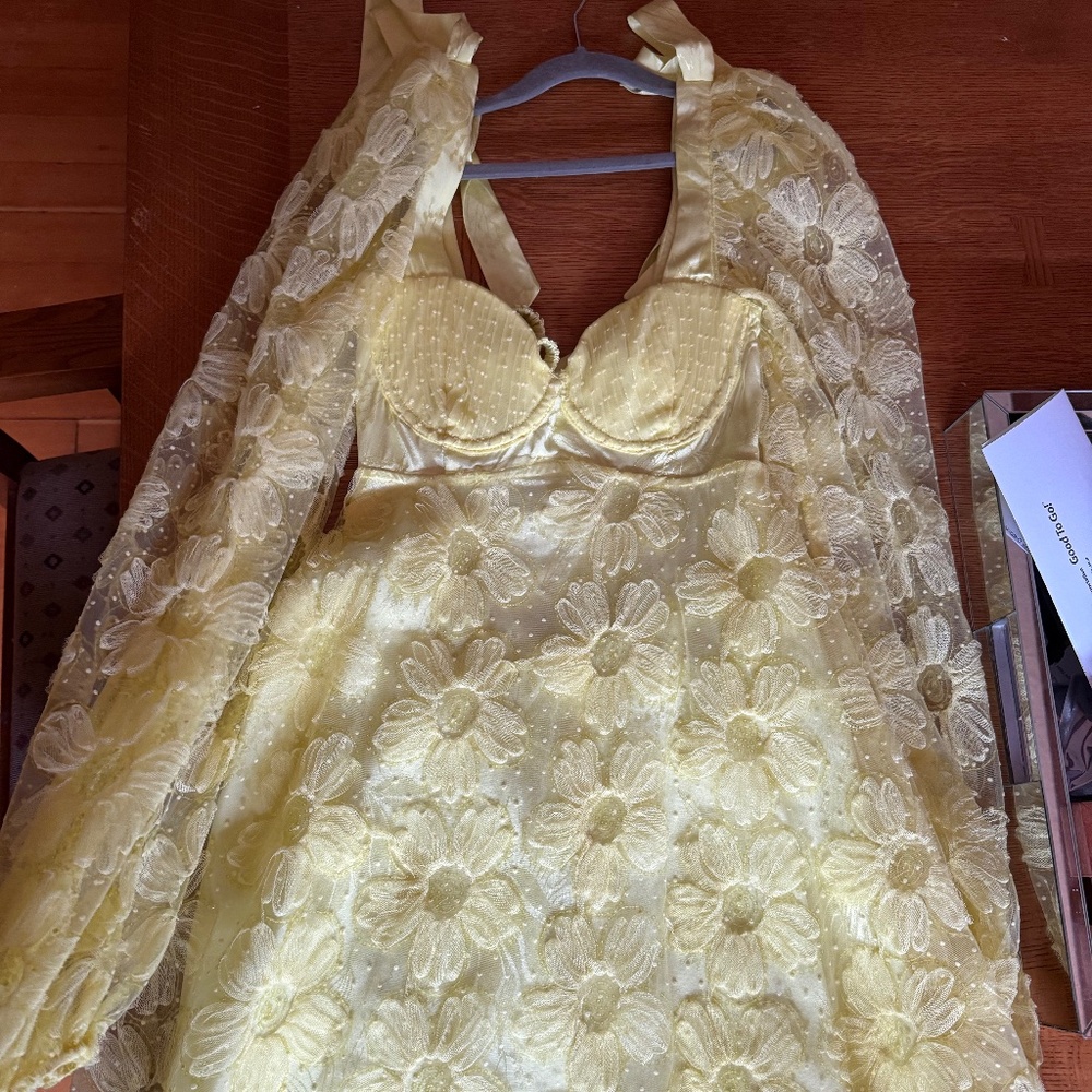 For Love & Lemons Kiersten Dress